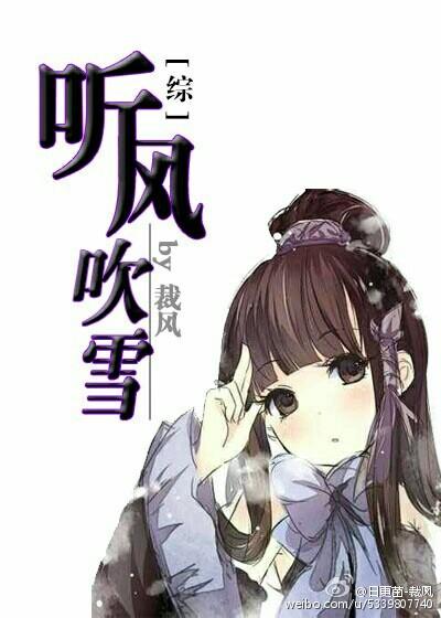 Listen to the wind blowing snow [Comprehensive + Sword III]