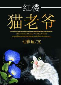 Red Mansion Cat Master