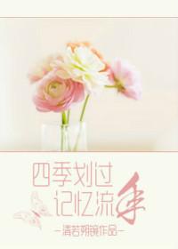 The four seasons pass the memory fleeting year