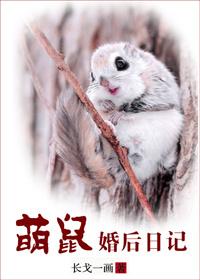 Cute mouse's post-marriage diary