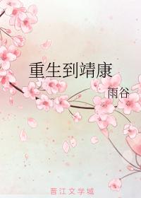 Reborn to Jingkang